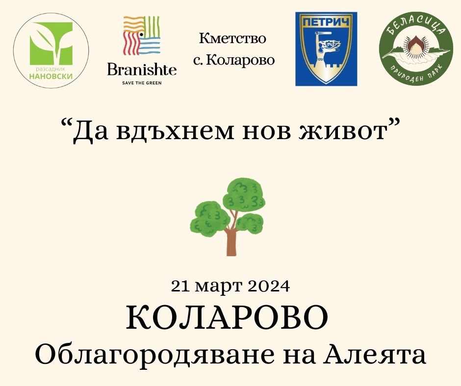 You are currently viewing Облагородяване на пешеходната алея на село Коларово