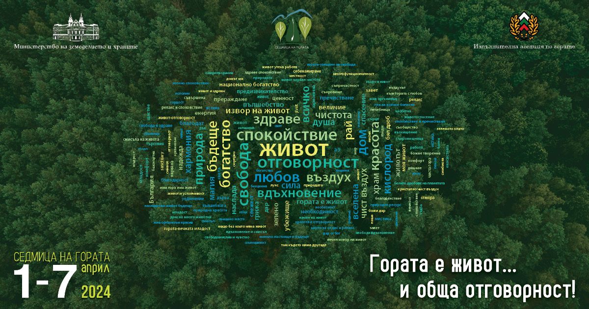 You are currently viewing Отбелязване на „Седмица на гората 2024 г.“ в Природен парк „Беласица“